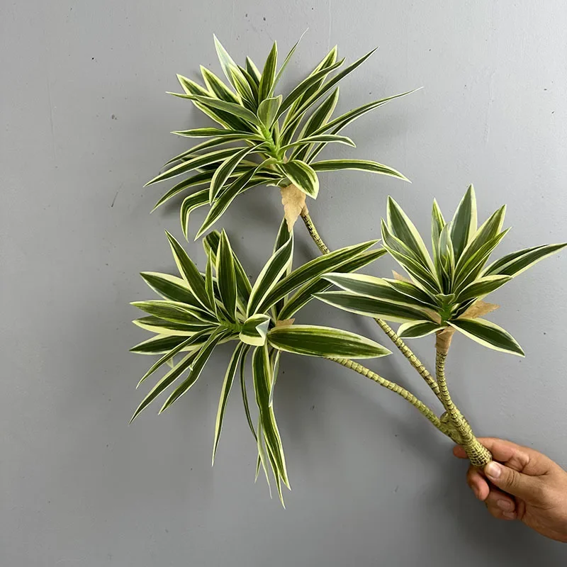 نباتات خضراء اصطناعية زنبق است - مراجعة Dracaena Marginata وسعره