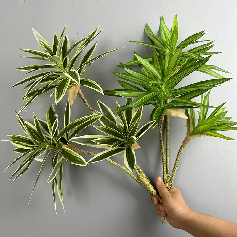 نباتات خضراء اصطناعية زنبق است - مراجعة Dracaena Marginata وسعره