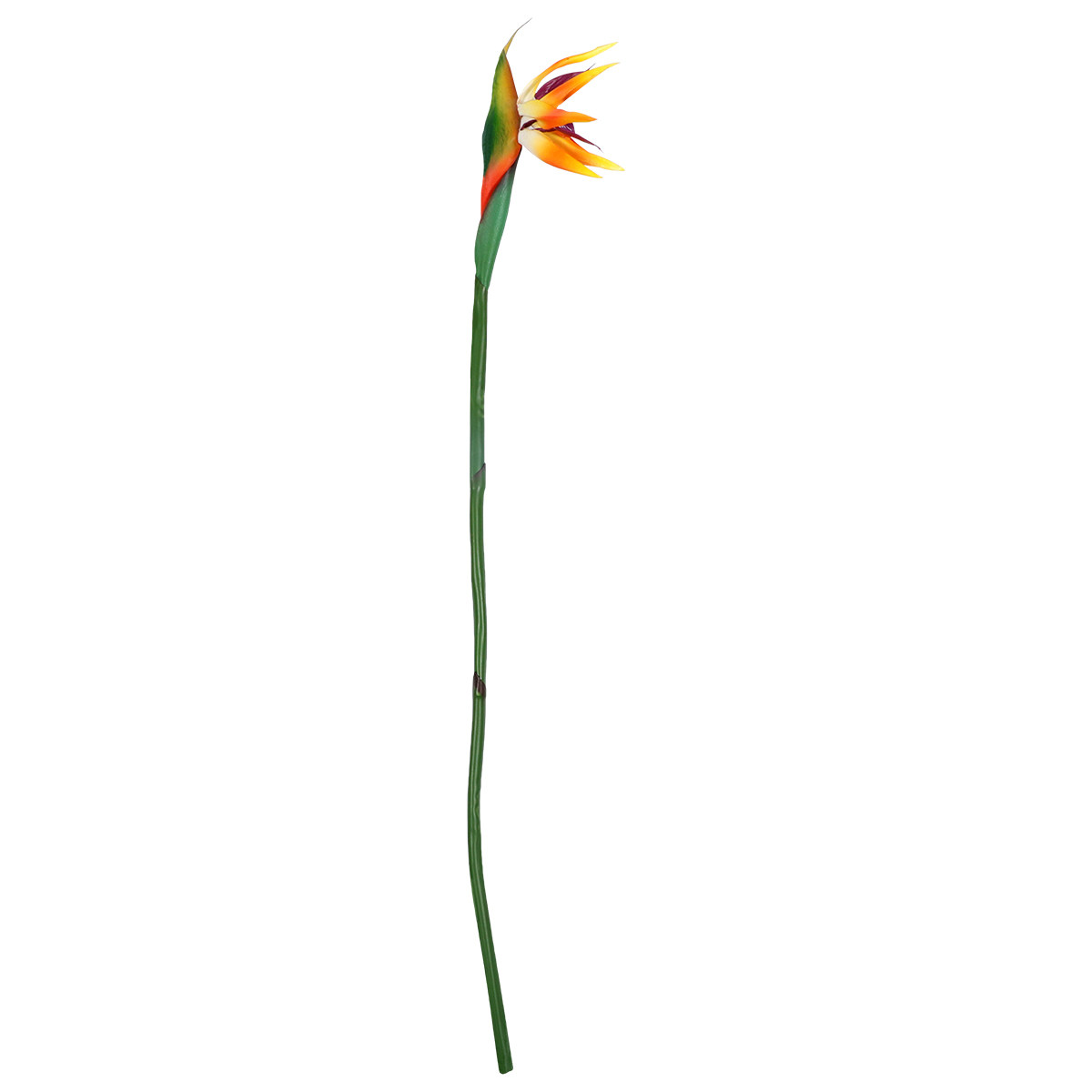 زهرة ستريليزيا صناعية بملمس طب - مراجعة Bird Paradise Strelitzia وسعره