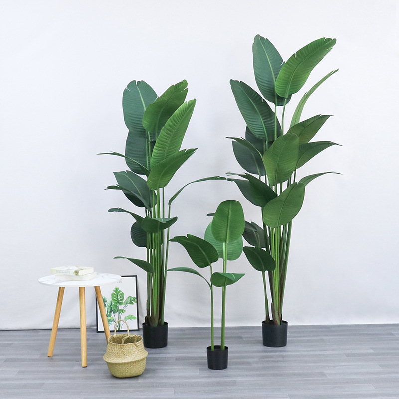 بوعاء بلاستيك صناعي ​ نبات طائ - مراجعة Bird Paradise Strelitzia وسعره