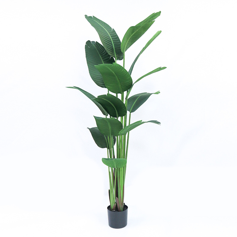 بوعاء بلاستيك صناعي ​ نبات طائ - مراجعة Bird Paradise Strelitzia وسعره