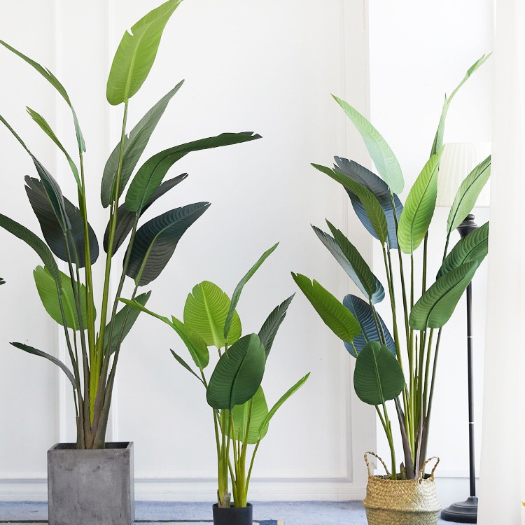 بوعاء بلاستيك صناعي ​ نبات طائ - مراجعة Bird Paradise Strelitzia وسعره