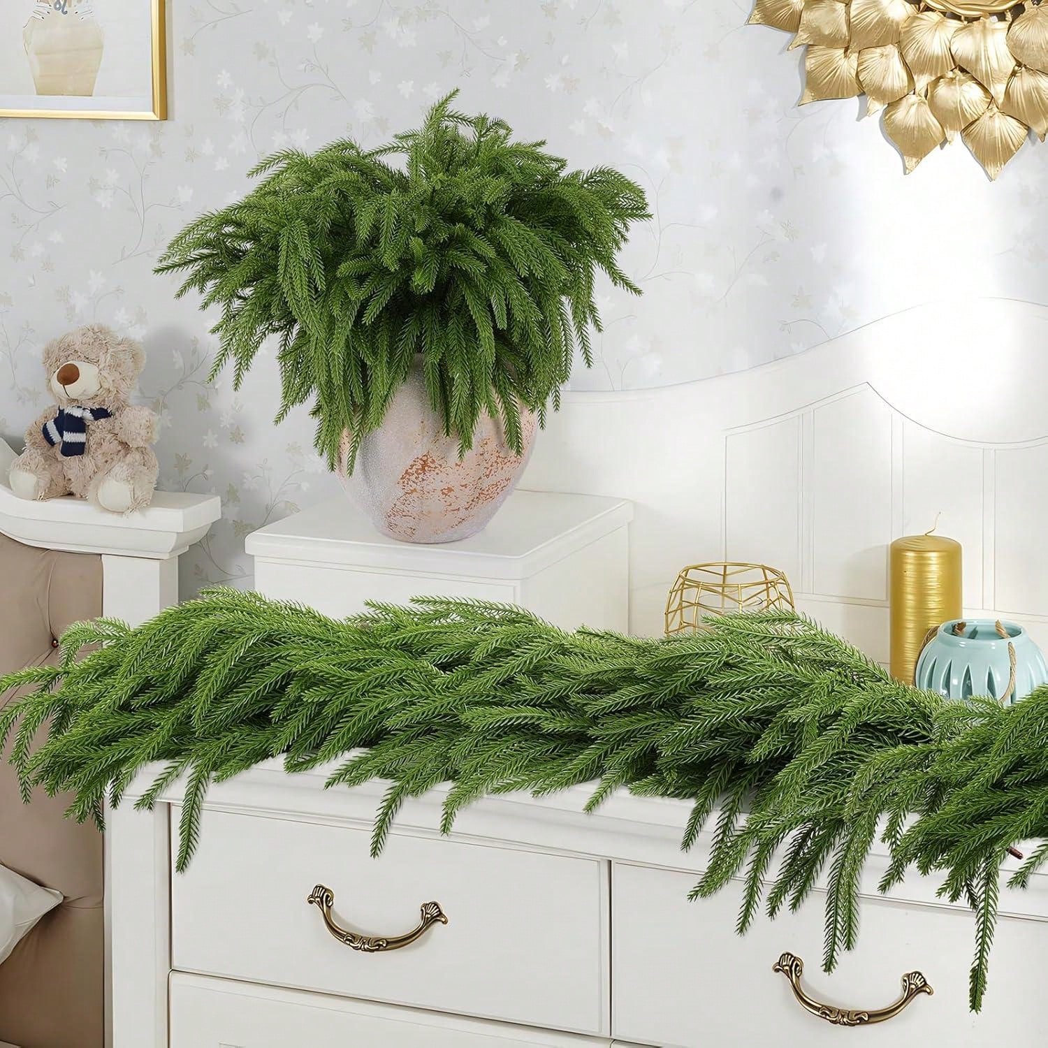 فروع عيد الميلاد نورفولك واقعي - مراجعة Dracaena Marginata وسعره