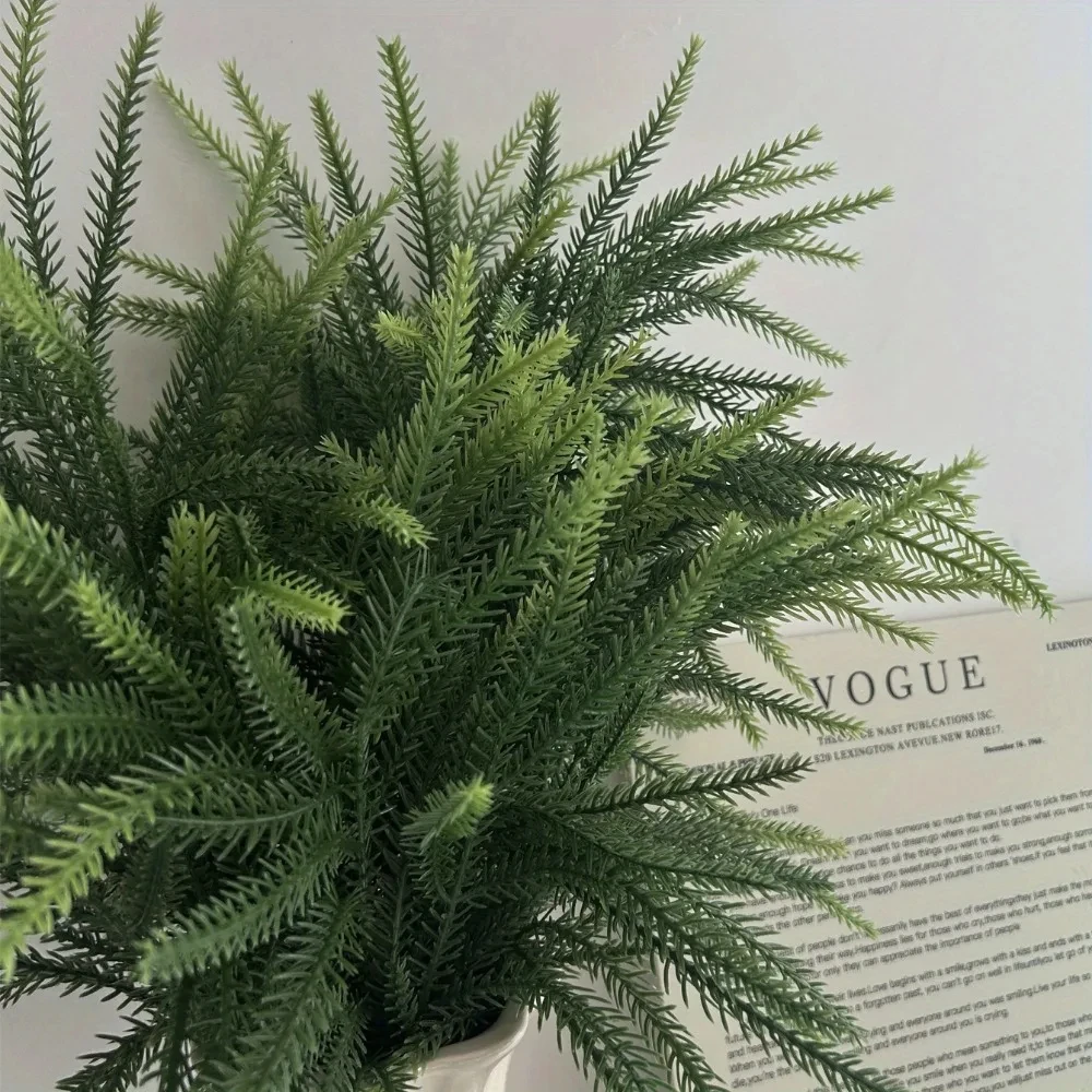 فروع عيد الميلاد نورفولك واقعي - مراجعة Dracaena Marginata وسعره