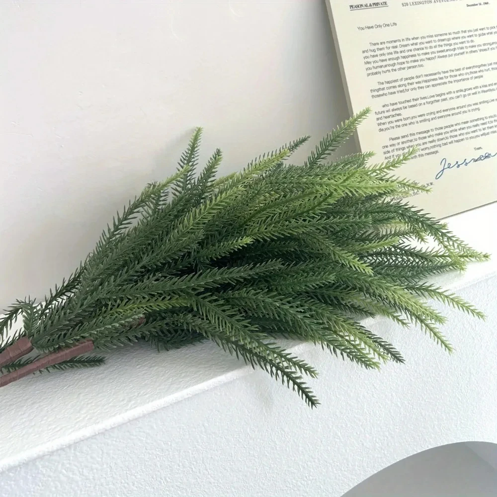 فروع عيد الميلاد نورفولك واقعي - مراجعة Dracaena Marginata وسعره
